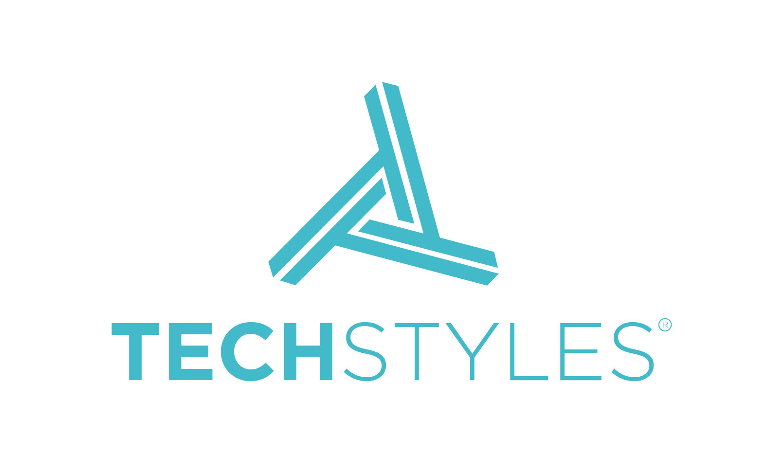 Tech Style Logo Clean AFF | group - Techstyle Logo Registered-05